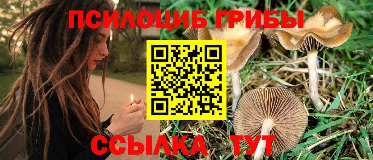 где купить наркоту  Галлюциногенные грибы GOLDEN TEACHER  Вход с VPN  Тольятти  Псилоцибиновые грибы ЛСД 