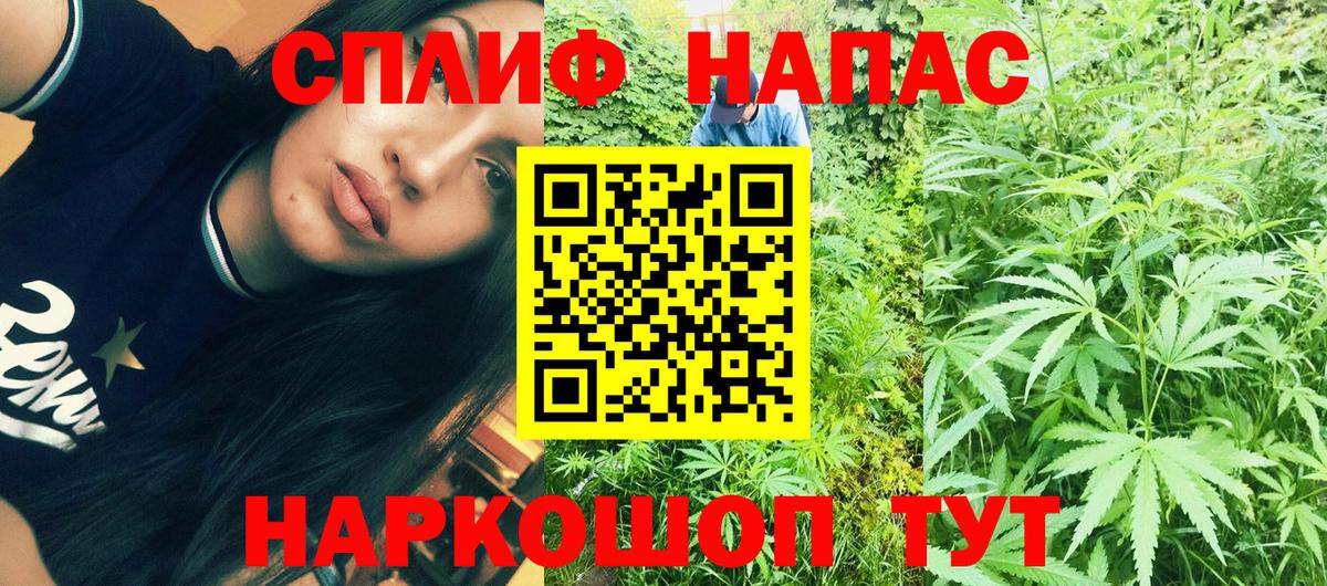 Марихуана тримм  Конопля гибрид  Вход с VPN  Канабис SATIVA & INDICA  Бошки марихуана конопля  Тольятти 